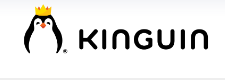 Kinguin